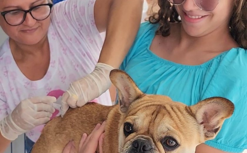 Arapiraca ultrapassa 97% de cobertura com a vacinação de mais de 37 mil cães e gatos