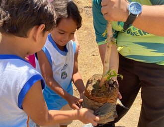 Projeto realiza atividades sustentáveis e plantio de árvores com crianças do Flexal