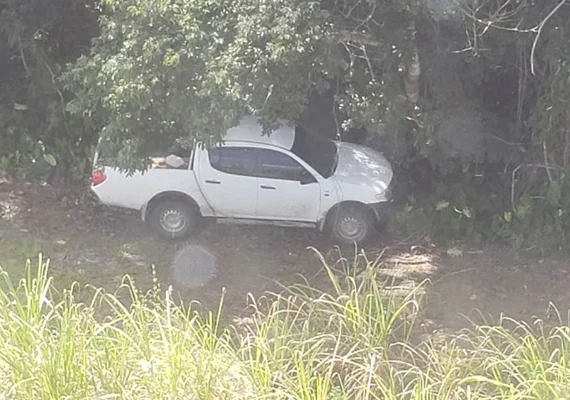 Helicóptero da PM localiza caminhonete roubada escondida em canavial de Rio Largo