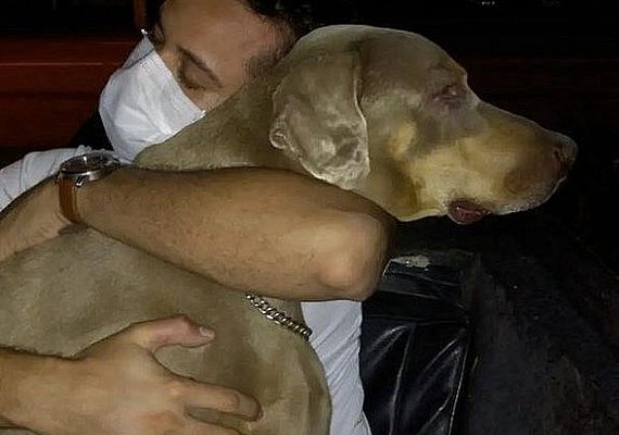 SMS afasta funcionária que realizou eutanásia em cachorro no UVZ