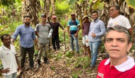 Crédito contratado para bananicultura cresceu 35% em Alagoas