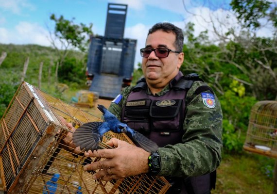 FPI do São Francisco devolve à natureza animais que estavam em cativeiros