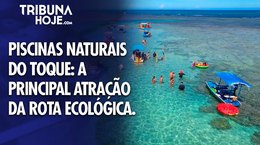 Piscinas naturais do Toque em maré baixa: o melhor passeio da rota ecológica