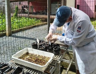 Ufal integra projeto campeão de prêmio nacional de preservação ao Meio Ambiente