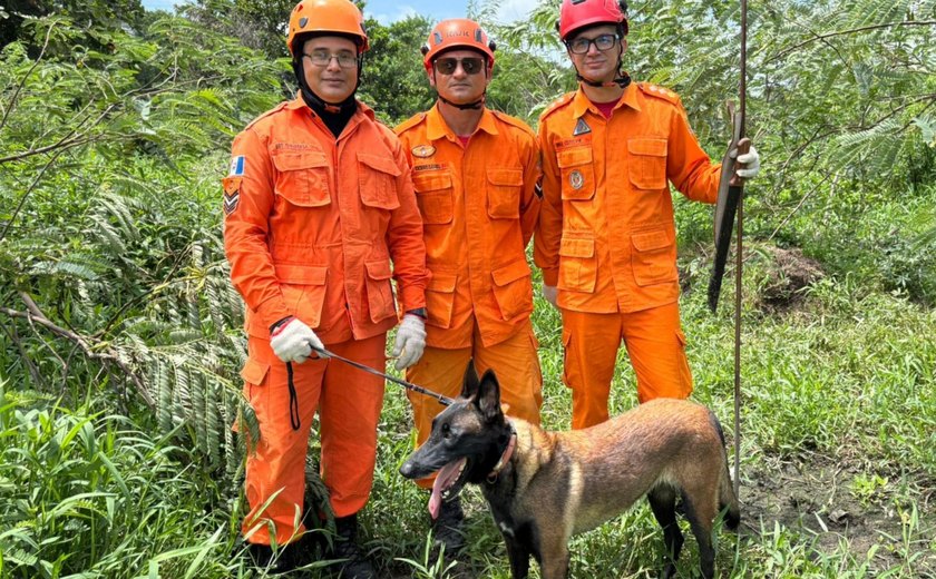Corpo de Bombeiros atuou em 70 ocorrências envolvendo pessoas desaparecidas em 2026
