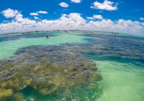 ICMBio afirma que normativa que proibia mergulho em Maragogi foi mal interpretada