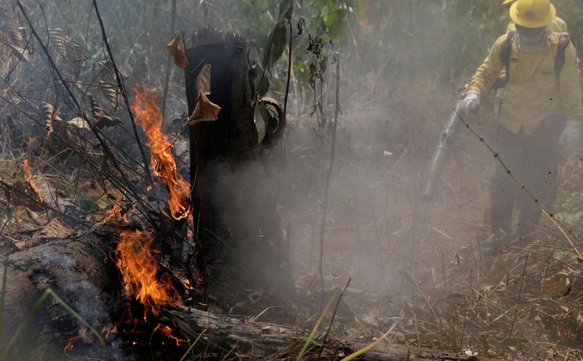 Operação contra incêndios na Amazônia pode ser prorrogada por um mês