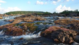 Pesquisadores denunciam ameaça por críticas a projeto de mineração no Xingu