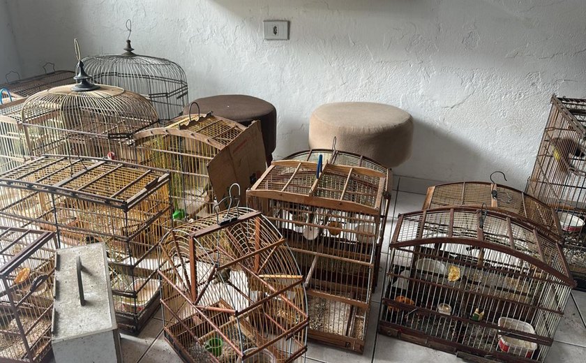 Polícia Militar resgata dezenas de aves silvestres em municípios do interior de Alagoas