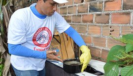 Com aumentos nos casos de dengue, zika e chikungunya, Sesau alerta municípios