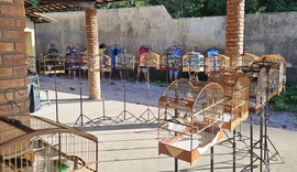 BPA resgata mais de 40 aves silvestres no interior de Alagoas e apreende armas de fogo