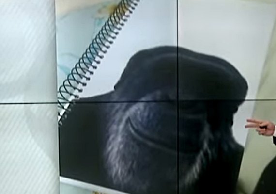 Polícia Civil investiga denúncia de racismo em sala de aula