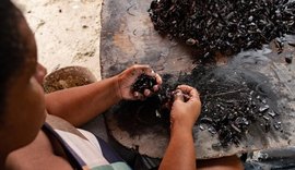 Maceió amplia políticas públicas para marisqueiras e preservação da Lagoa Mundaú