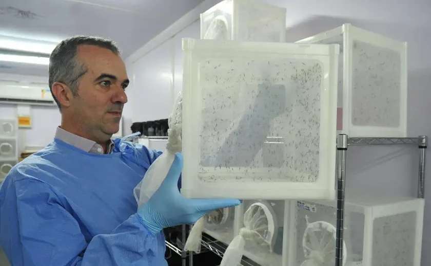 Brasileiro criador do 'Aedes' que bloqueia dengue é eleito pela Nature