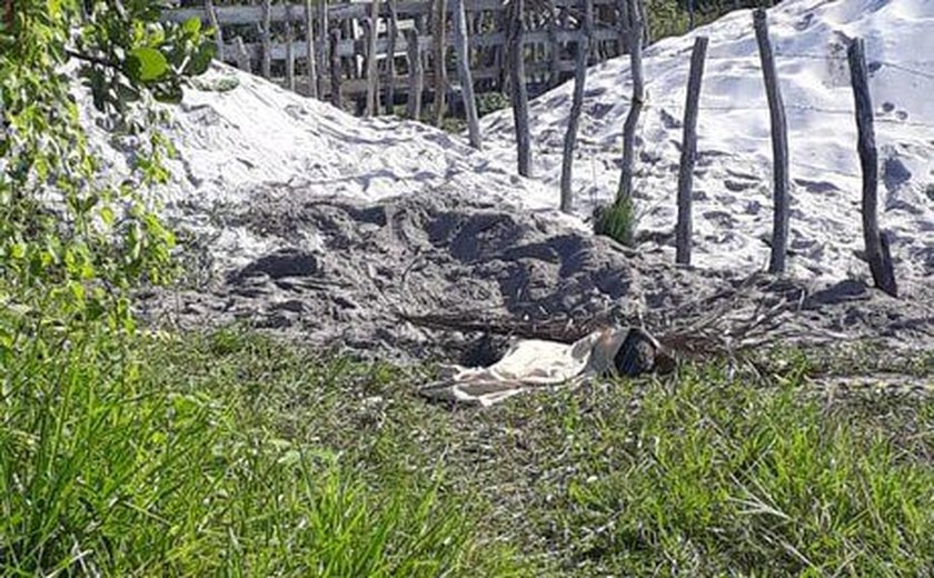 Corpos são encontrados enterrados em Maragogi, no litoral norte de Alagoas