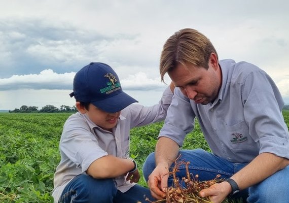 Avanço do amendoim: produtores investem na cultura e garantem alta valorização do mercado