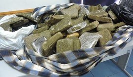Quadrilha poderia faturar cerca de R$ 1 milhão com venda de maconha apreendida