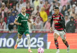Palmeiras e Flamengo decidem 1º tetra brasileiro na Libertadores