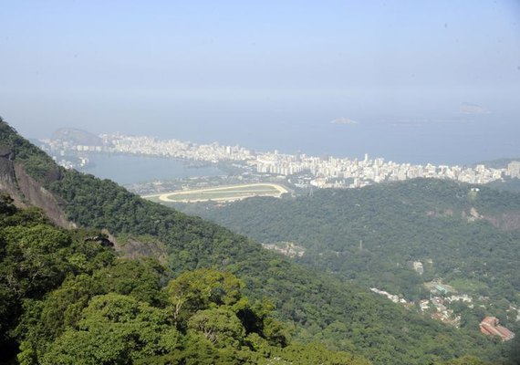 Cientistas dizem que Brasil pode ser líder em desenvolvimento sustentável