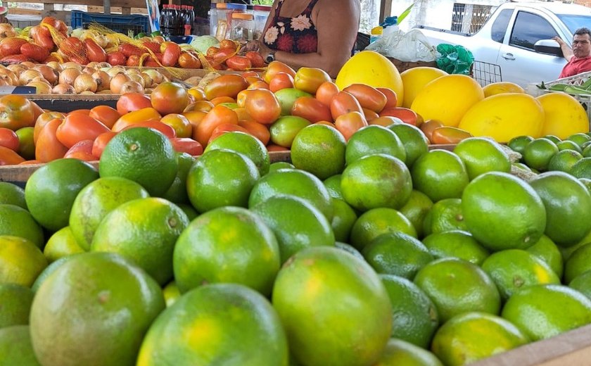 Dia do Empreendedorismo Feminino: mulheres se destacam com histórias de transformação e apoio de projeto social no Vergel