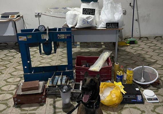 Polícia Militar desmantela refinaria de drogas e apreende mais de 51 quilos de cocaína em Arapiraca