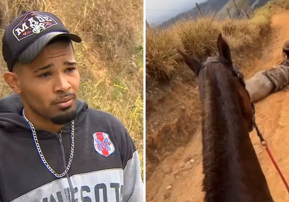 'Cortei por cortar': homem que cortou patas de cavalo disse que estava alcoolizado e se diz arrependido
