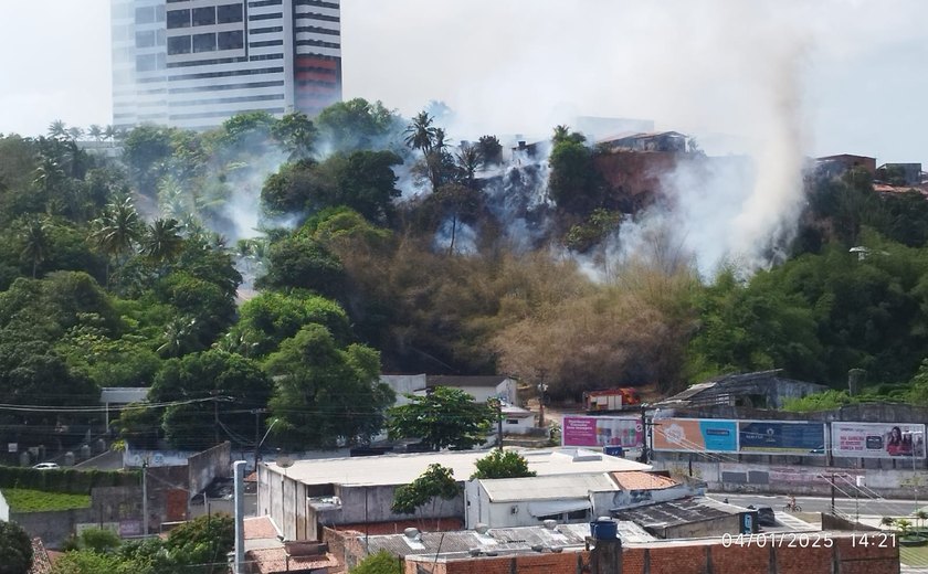 Vídeo: Corpo de Bombeiros combate incêndio de grandes proporções em encosta na Mangabeiras