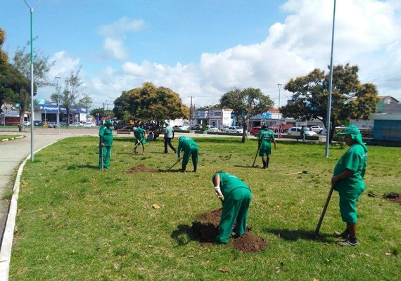 Praça da Faculdade ganhará mais de 200 mudas no Bairro Verde