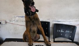 Homem é preso por tráfico de drogas em Arapiraca