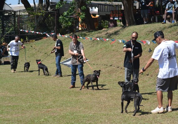ABRAPIT realizou grande evento de exposição de cães da raça American Pit Bull Terrier em SP