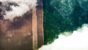 CNI lança Mapa Estratégico da Indústria para uma economia de baixo carbono