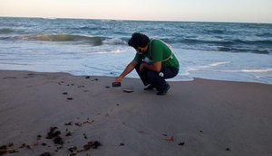 Instituto Biota realiza soltura de filhotes de tartarugas na praia de Riacho Doce