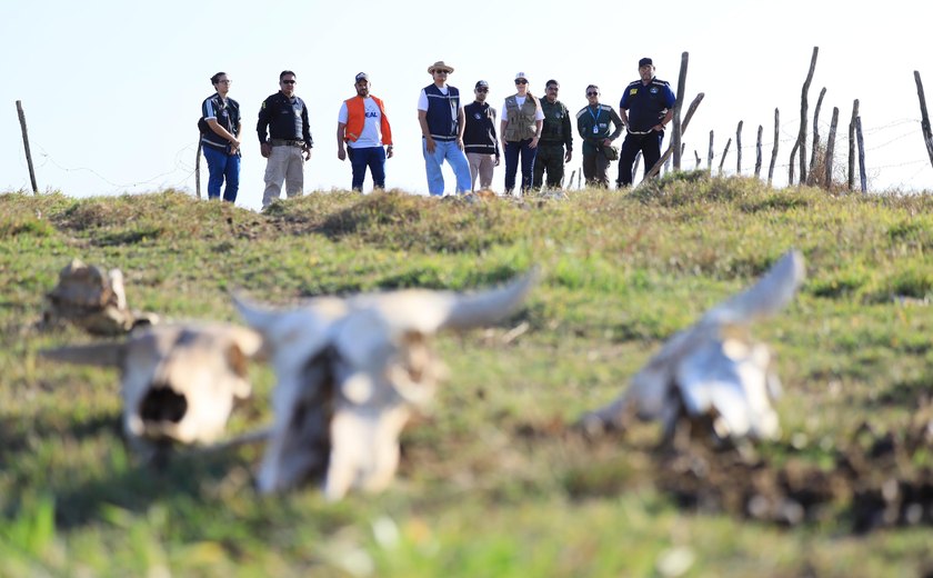 FPI flagra abate clandestino de bovinos e apreende carne imprópria para consumo