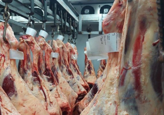 Pecuaristas de Alagoas serão certificados para exportar carne para todo o Brasil