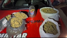 PM apreende mais de três quilos de maconha durante ação em Paripueira
