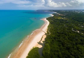 Costa do Descobrimento protege trecho rico da Mata Atlântica
