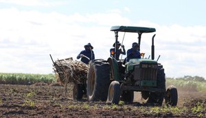 Usina Pindorama vai entrar em operação mais cedo na safra 19/20