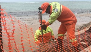 Após estragos da ressaca do mar, Seminfra realiza reparos na orla de Maceió