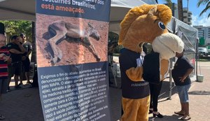 Manifestação nacional pede o fim do abate de jumentos no Brasil