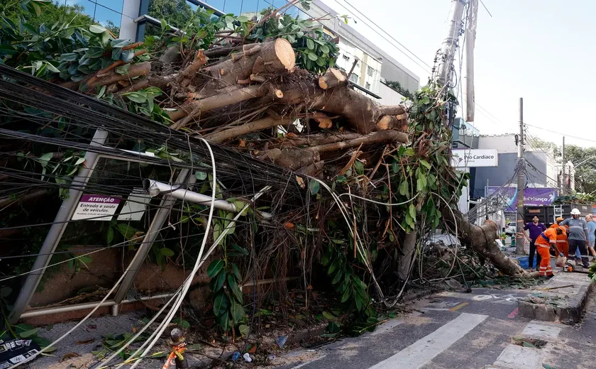 Ventania em RJ, SP e RS expõe falhas na resposta a extremos climáticos