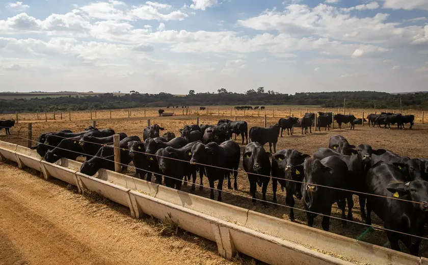 Atividade econômica brasileira cresce 2,5% em 2025