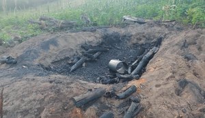 Operação Protetor dos Biomas intensifica combate a crimes ambientais em Alagoas