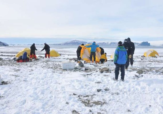 Antártica: micróbios podem ajudar limpeza de poluição