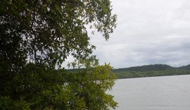 Rota Lagunar une turismo sustentável e cultura em passeios exclusivos com experiências sensoriais