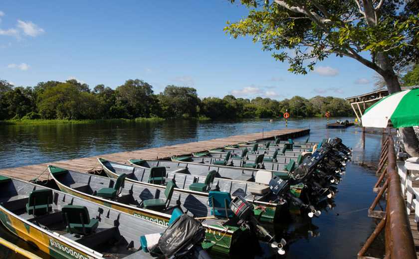 Temporada de pesca esportiva movimenta economia brasileira