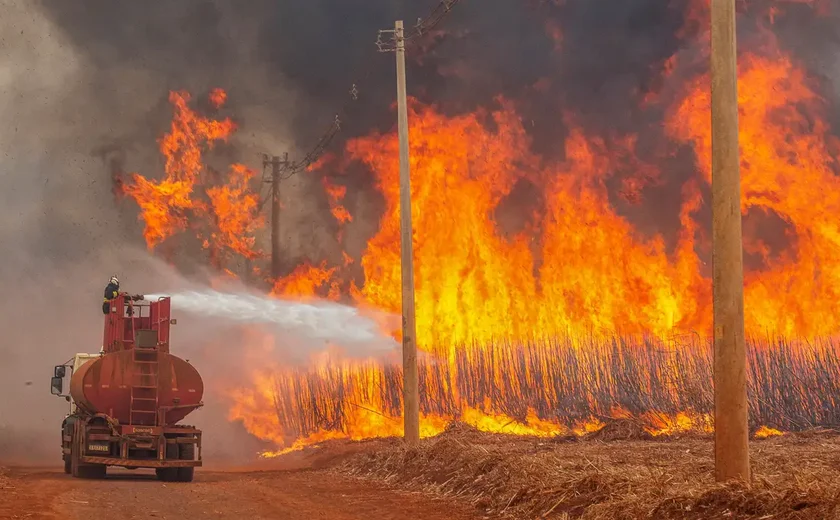 Mais de 80% dos focos de calor em São Paulo estão em áreas de agropecuária