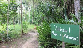 Projeto Arboretum: de terreno abandonado à área reflorestada