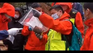 Caixa-preta de avião que caiu na China é encontrada