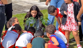 Mais de 125 mil mudas plantadas fortalecem áreas verdes de Penedo
