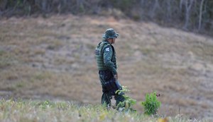 FPI flagra área desmatada equivalente a mais de 200 campos de futebol em Lagoa da Canoa e São Sebastião